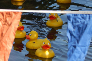 The Great Amesbury Duck Race 2024 - 26 August, 2024 (Bank Holiday Monday).